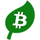 Logo der Kryptowährung Bitcoin Green BITG