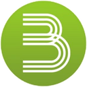 Logo der Kryptowährung Bastonet BSN